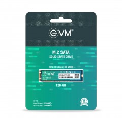 EVM 128GB M.2 2280 SOLID STATE DRIVE (SSD)