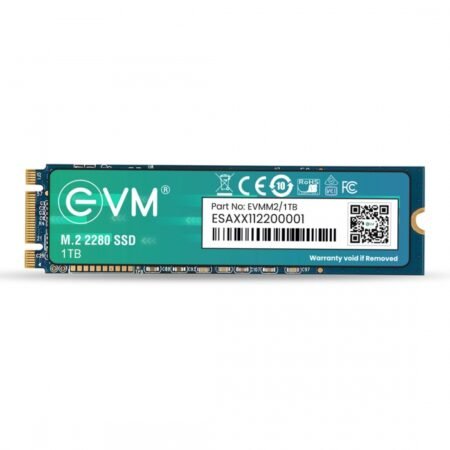 EVM 1TB M.2 2280 SSD