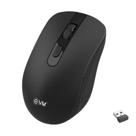 EVM WIRELESS MOUSE CLASSY